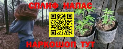 гидра Ипатово