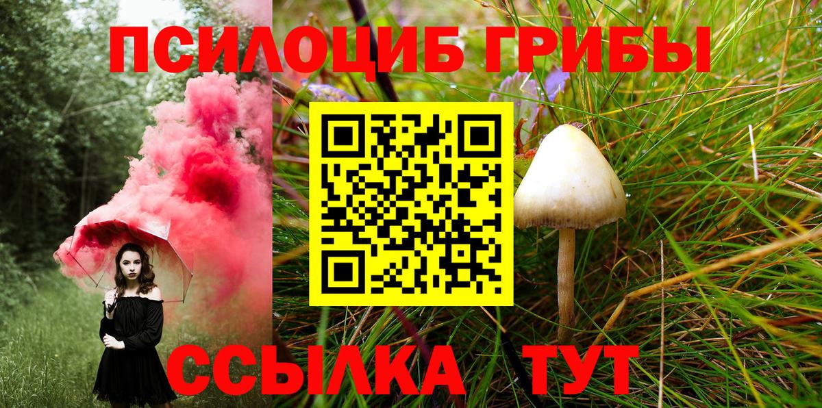 Галлюциногенные грибы мицелий  Вход с VPN  Галлюциногенные грибы прущие грибы  Ликино-Дулёво 